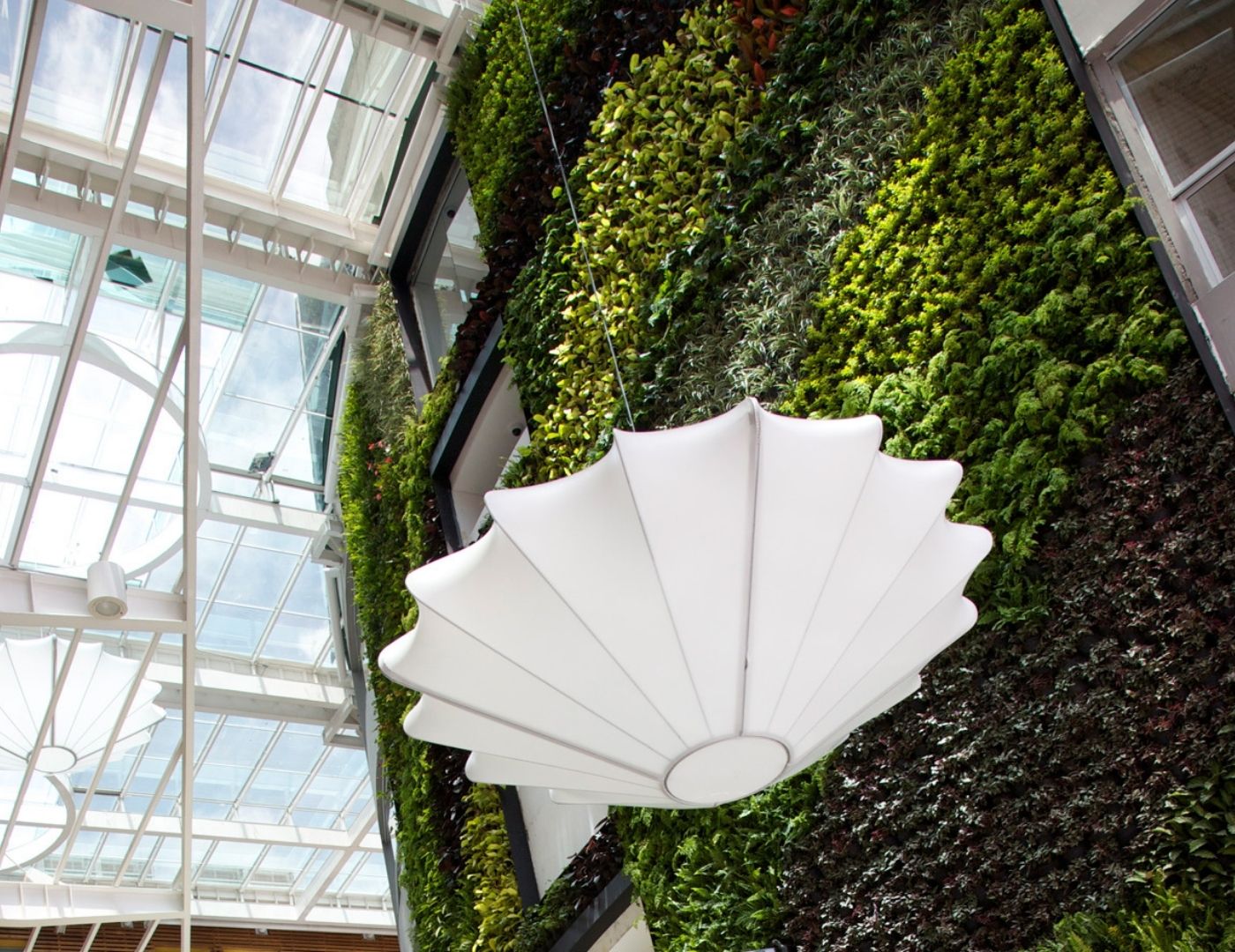 Muros Verdes y Jardines Verticales